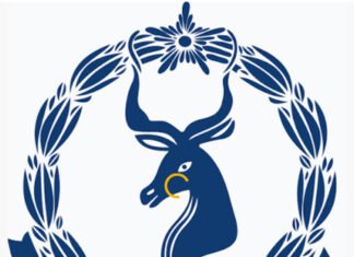 Somali Police Arrest Woman Over Alleged Defamation of National Leaders