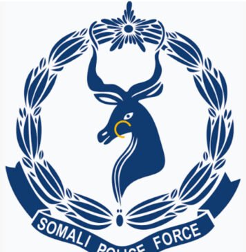 Somali Police Arrest Woman Over Alleged Defamation of National Leaders