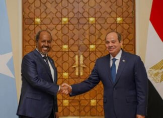 Somali President Affirms Ethiopia Ties Won’t Affect Strategic Cooperation with Egypt