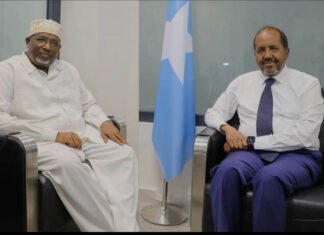 Somali Opposition MPs Accuse President Hassan and Speaker Madoobe of ‘Hijacking Parliament’
