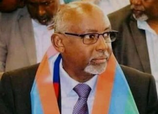 ONLF Leader Warns of Alleged Plot in Somali Region, Ethiopia