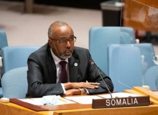 Somali Diplomat Defends Mogadishu’s Decision to Side Western Countries Against Iran