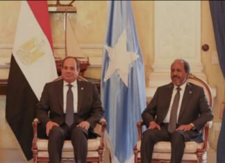 Somalia Welcomes Egypt’s Strong Support, Highlights Deep Historical Ties