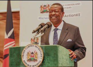 Kenya Urges EU to Prioritize Fight Against Al-Shabaab