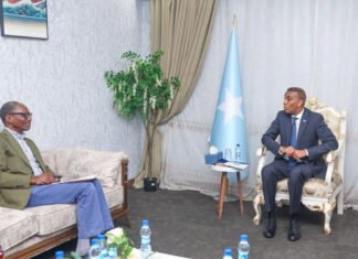 Somali PM Meets Care International Director in East and Central Africa