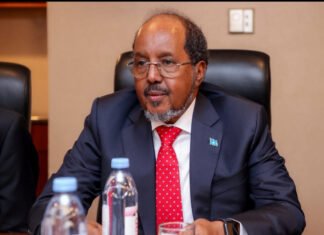 Somali President Reaffirms Ban on Heavy Weapons in Mogadishu