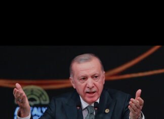 President Erdogan Condemns Israeli Actions in Gaza at UN General Assembly