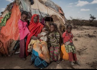 Nearly Half of Somali Children Facing Severe Malnutrition