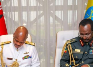 Ethiopia, Kenya Strengthen Military Ties With Renewed Pact