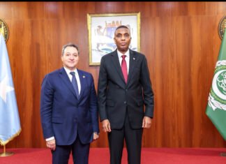 Somali PM Receives High-Level Arab League Delegation in Mogadishu