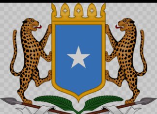 Somali Government Secures Political Victory Over Opposition