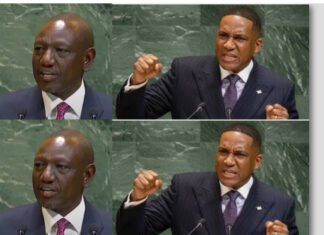 Kenya and Botswana Presidents Debate Africa’s Representation at UN Security Council in New York
