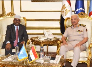 Somalia and Egypt Strengthen Military Ties as Troops to Join AU Mission in Somalia