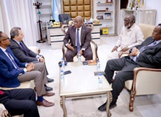 Somali Minister of Information Meets Arab League Delegation