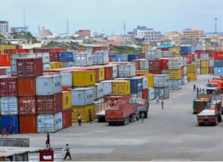 Mogadishu Port Emerges as One of Africa’s Most Efficient Maritime Gateways