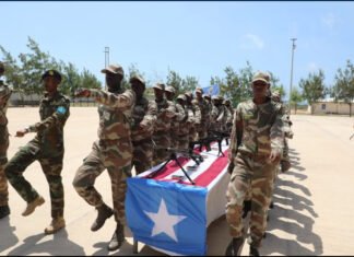 Somali Military Personnel Begin Adaptation Training Under Turkish Guidance
