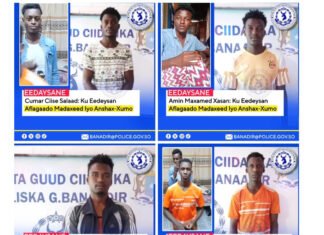 Somali Police Arrest Four Youths Over TikTok Insults to President