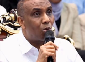 Residents of Hiiraan State React Strongly to Remarks by Hamze Abdi Barre