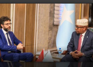 Somali Defence Minister, Turkish Ambassador Meet in Mogadishu