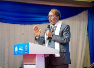 Somali President: No Public or Private Services Without National ID, Even With a Passport