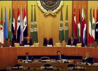 Arab League Chief Welcomes Recognition of Palestinian State by UK, Canada, and Australia