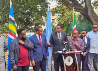 Somali Ambassador to Kenya Condemns Youths Over Kenyan Flag Incident
