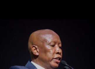 Malema: Africa Needs One President and Borderless Unity
