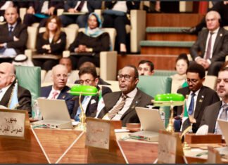 Somalia Participates in Key Arab League Ministerial Meeting in Egypt