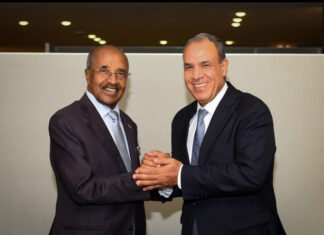 Egypt, Eritrea Meet in United States