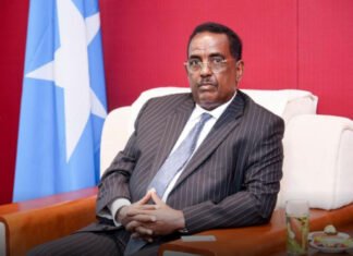 Ali Hosh: Somalia Successfully Completes Formation of Northeastern Federal State