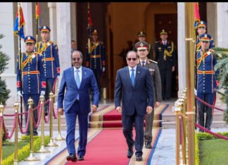 Egypt Backs Somalia as Bihi Accuses Cairo of Blocking Somaliland Recognition