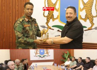 Egyptian Delegation Completes Somalia Visit Ahead of Troop Deployment