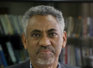 Eritrean Minister Slams Ethiopia’s Abiy Party