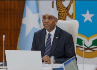 Somalia PM Launches Free Electricity Project for 150 Public Health Facilities