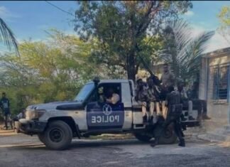 Police Capture Main Suspect Behind Armed Robberies in Mogadishu