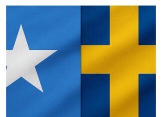 Somali Aid Worker Among Those Seized by Israeli Forces