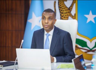 Somali PM Appoints New Auditor General and Defense Ministry Director General