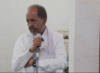 Somalia’s President Dismisses Opposition Criticism