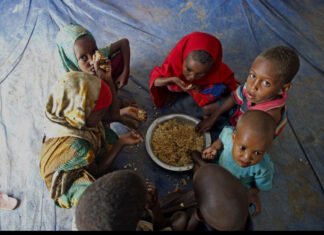 WFP Warns of ‘Catastrophic’ Hunger Crisis in Somalia Amid Funding Shortfall