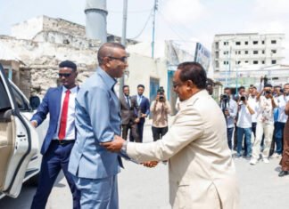 Somali PM Reopens of 52 Roads in Mogadishu
