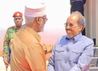 Somali President Prepares Planning Formation of a “New Jubbaland” Based in Gedo