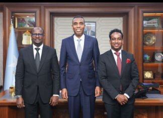 Somali PM Welcomes Somali-Norwegian Councilor in Mogadishu