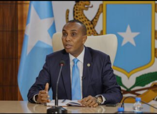 Somali Government Denies Reports of Secret Deal with Sweden