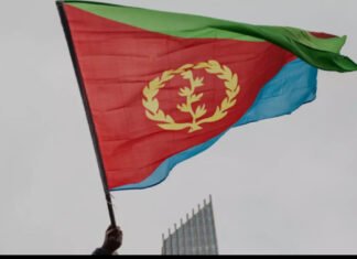 Addis Ababa Accuses Asmara Preparing a Military Offensive Against Ethiopia