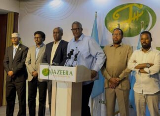 Somali Government and Opposition Agree to Form Joint Committee as Protest Postponed