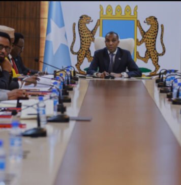 Somali Cabinet Approves Education and Research Cooperation Agreements