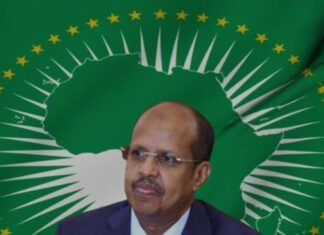 AU Chairperson Urges Full Implementation of AfCFTA at COMESA Summit