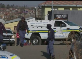 Somali Businessman Killed in South Africa