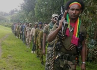 Amhara Fano Militia Claims Major Gains as Ethiopia Faces Rising Internal Pressure