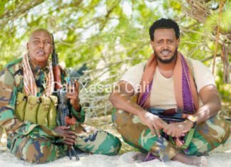 Somali Senator and Son Praised for Organizing Fighting in Middle Shabelle